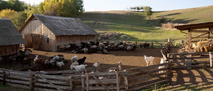 Gazdálkodás drónnal és tablettel: átalakul az aranykalászos gazdaképzés